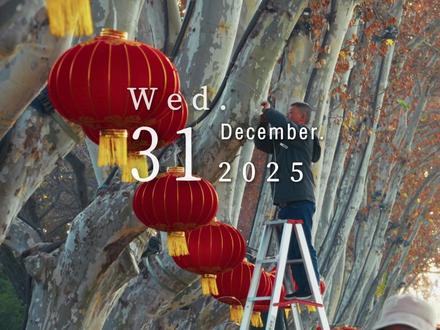 2025.12.31 2025年的最后,别再为过去烦恼,你所遇见,皆是美好
#摄影#扫街#2025#跨年#青年创作者成长计划