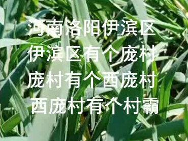 今天玉皇大帝生日,村霸你害怕