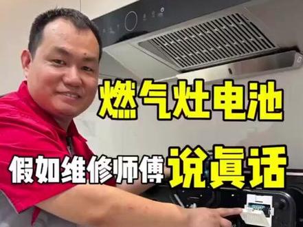 南孚丰蓝1号燃气灶专用电池