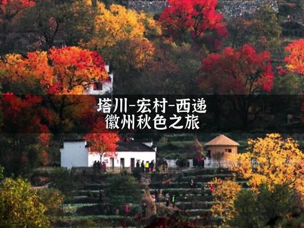 秋天总要赶一场晒秋吧~在这场塔川宏村西递之旅里,看一半江南秋色,一半人间烟火~#安徽旅游攻略#旅游推荐官 #晒秋