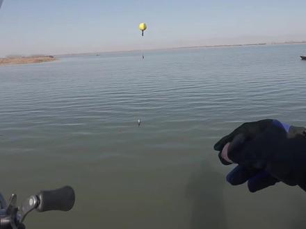 寒冬钓深水鲫鱼!球球挑逗法太绝,挂红虫抛路亚竿,中鱼停不下来 #洛阳球钓法教学 #创作者中心 #创作灵感 #球球逗钓鲫鱼 #球球冬钓鲫鱼