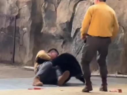 功夫黑熊的故事#故事