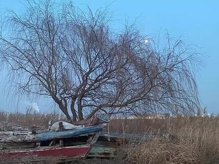 剪映中的分层调色如何使用,一分钟看完,轻松掌握。#教程 #剪映