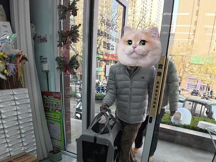 第一视角宠物店沉浸式洗猫全流程vlog,今日双主:蛋黄蛋清 #第一视角 #vlog日常 #猫咪洗澡乖乖的 #英短 #有猫猫来洗澡