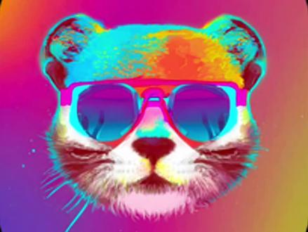 基于AI的数据库连接客户端来啦-Chat2DB #chat2db #ai #数据库连接客户端