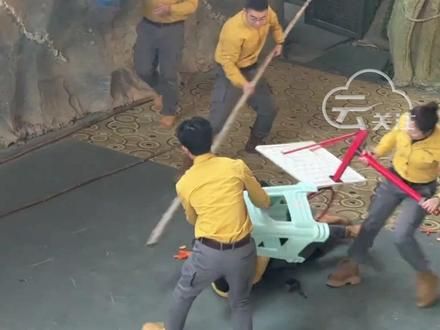 黑熊“袭击”饲养员 杭州野生动物世界发布公告:因现场处置能力不足给游客带来了不良体验深表歉意
#杭州野生动物园 #动物表演安全 #现场处置