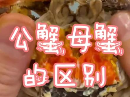 好多宝子问母蟹好吃还是公蟹好吃,这真的是看个人口味,我都喜欢吃。我总结了一下公母蟹的区别,你花几十秒看下自己喜欢吃母蟹还是公蟹吧#螃蟹正确吃法 #如何挑选大闸蟹 #大闸蟹怎么吃 #大闸蟹螃蟹 #大闸蟹的正确吃法