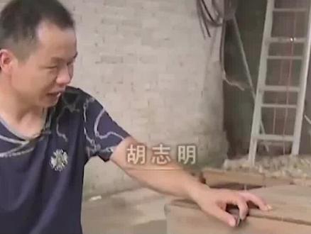 男子对毒蛇太过痴迷,最后妻离子散,谁知靠蛇翻身年收入5000万 #农村创业养殖 #眼镜蛇 #五步蛇