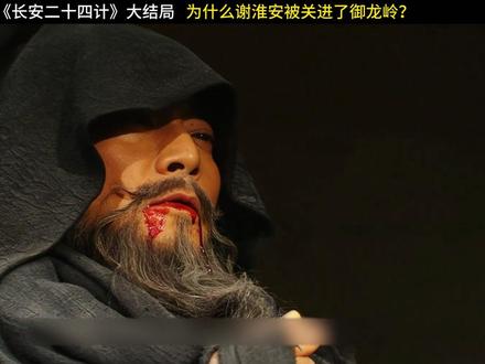 为什么大结局谢淮安被关进了御龙岭?#长安二十四计 #长安二十四计立意好深
