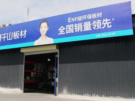 甘肃莫干山板材总代带大家了解莫干山板材的环保等级 #莫干山豆茵板衣柜 #环保板材 #enf级板材 #莫干山ENF级豆茵板