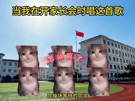 当开家长会你唱这首歌#猫meme#苟活