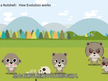 早期后口动物:脊椎动物的黎明