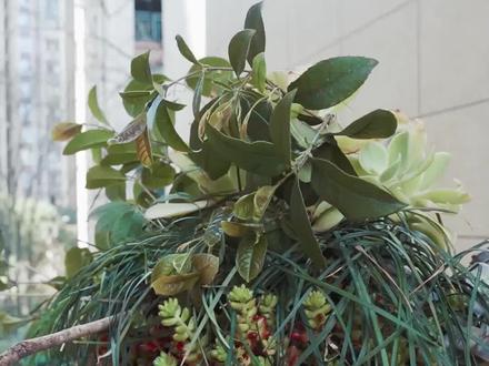 “打光棍”的由来,你知道吗?#办公室日常 #趣味