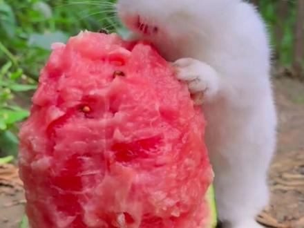 小学成语积累#AABC式词语#家长收藏孩子收益 #aabc式词语