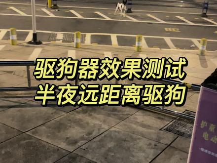 这种距离驱狗效果还算可以把哈哈#驱兽神器 #驱赶汪星人 #户外防狗咬 #出门防狗 #小孩安全 #超声波