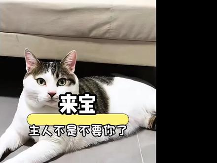 以为又是弃养,没想到是孤寡老人的临终托孤#来宝