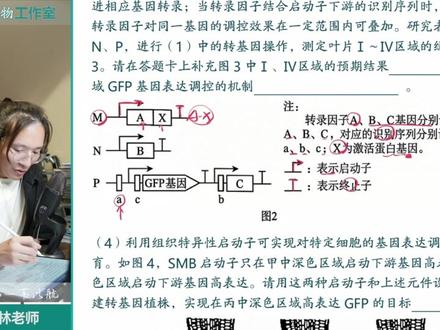 近期最难基因工程大题?合成生物学你了解嘛? #高中生物 #基因工程 #高二 #高考 #讲题