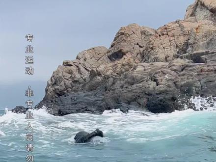 抓龙虾啦#赶海 #海洋生物@西涌肥文