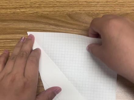 谁还没个暹罗猫玩具了🫣 #大学生 #暹罗猫 #折纸 #挑战