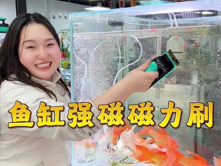 现在擦鱼缸就是这么简单#养鱼 #磁力刷