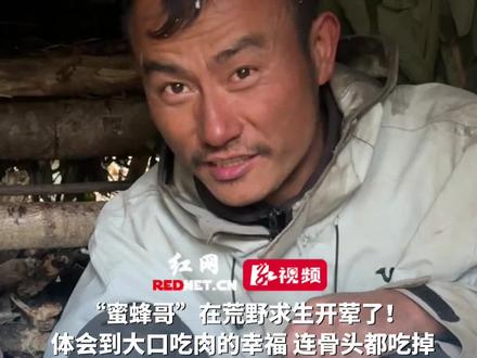“蜜蜂哥”在荒野求生开荤了!体会到大口吃肉的幸福,连骨头都吃掉,“有了肉,连野菜都变得软嫩细腻了”。