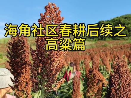 认真对待每一份工作,不惧艰辛