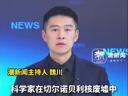 切尔诺贝利发现特殊黑色真菌,疑似存在“吃掉辐射”能力,科学家正在进一步证实中,未来或可做星际航行的“生物护盾”