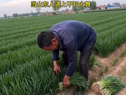 当山东人遇上不知火舞
#不知火舞 #山东方言 #幽默 #ai