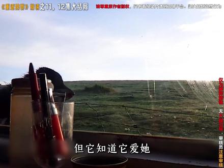 大家期待已久的大结局,来了,但是看之前一定准备好纸巾。。。。 #重返狼群 #重返狼群完整版