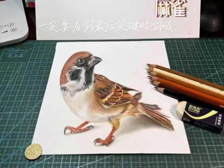 我们解封了😊复工复产~晚上直播间见哦,等你#一起学画画 #3d立体画 #彩铅#麻雀#手绘