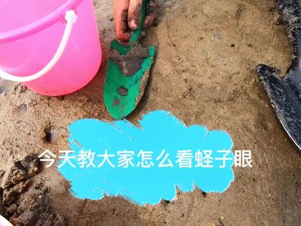 来鲅鱼圈赶海,教你怎么看蛏子眼!怎么挖蛏子!纯干货!#赶海 #赶海生活 @抖音小助手
