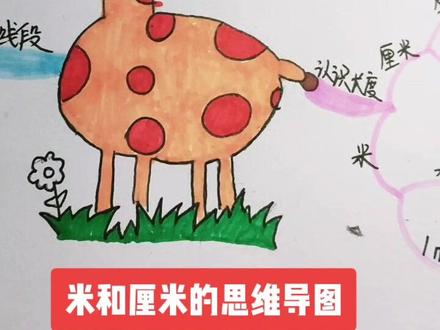 米和厘米的思维导图为我的小王子安排上。