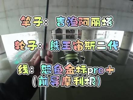 预算低,可以看看。预算高当我没说#路亚 #吉渔阿丽塔 #熊王宙斯二代 #微物路亚 #路亚野钓