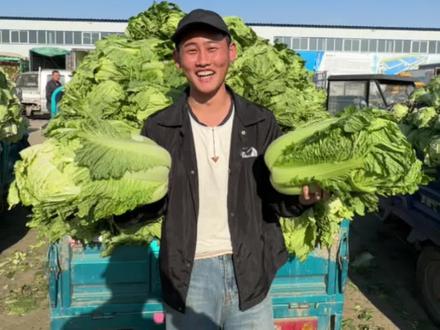 带南方朋友在东北腌酸菜制作全过程#东北 #新农人计划2023 #东北酸菜 #腌酸菜#南北差异