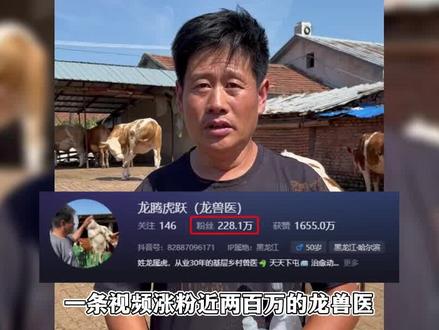 农村龙兽医三个月吸粉百万,双手堪比B超机,十秒判断牛怀孕日期