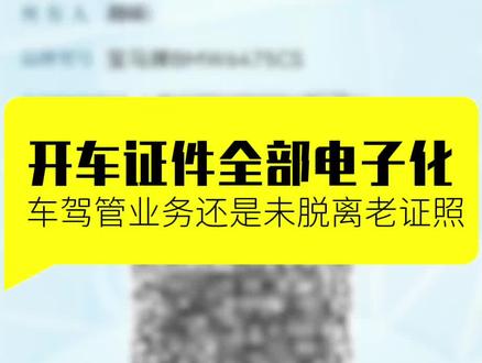 开车不带证件行不行 #汽车人共创计划