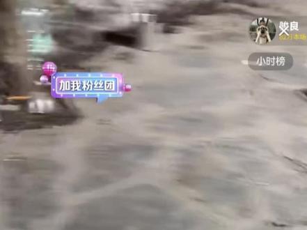 3.10 骏良直播回放(上) 今儿骏良上山和小狗们玩嗨了,没怎么录视频哈哈哈;胖宝进院子闻见磨牙棒味儿,欺身压住裤头抢磨牙棒,骏良直接没收;骏良给豆姐梳毛,实际上用手撕吧撕吧就行;好孩子和豆姐打闹,骏良请好孩子按住豆姐方便梳毛;被窝和豆姐打闹,一咬一嘴毛;骏良趁机给小杜梳梳毛挠挠痒;骏良戏称豆姐身上都是黑心棉;今天怀着满满诚意上上来拍视频,最近要去参观深宠展嘛,总结未来两到三天出去转一转(请假),机票太贵了准备坐火车去,骏良想去看看宠物展有什么新产品上市;小杜今日频频骑胖宝;豆姐今日退毛半桶;胖宝发情先回笼子,骏良呼唤胖宝,胖宝聋人上身哈哈哈;被窝进屋,骏良调侃,你黄哥你宝哥要来,你先进屋躲躲;冬冬看见骏良异常兴奋,穿着喜庆的像西游记里的黑熊精;黄皮子组合密不可分;#骏良 #狗狗🐶 #狗狗 #直播录屏分享 #萌宠出道计划