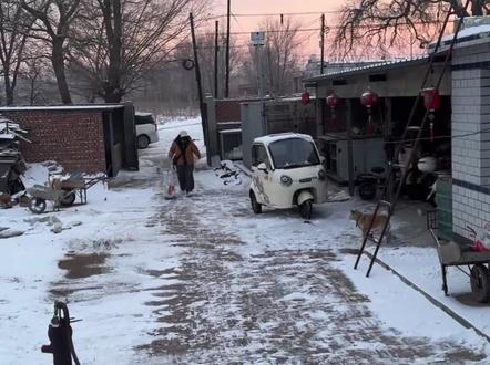 蒋一帆新歌《关外北风》上线酷🐶和企鹅🎵#蒋一帆 #回家 #艾里克 #周子洋 #每一片雪花都喊着回家回家