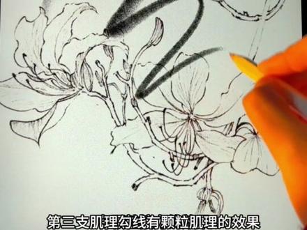 #画了个画 笔刷不求人,自制万能勾线笔刷#procreate绘画 #ipad绘画 #如何使用procreate #笔刷