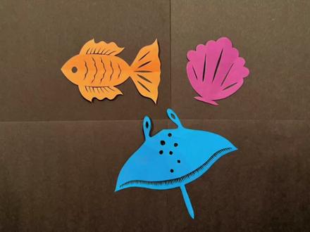 海洋动物剪纸第一集!仙女鱼!扇贝!大蝠鲼!快学起来吧! #海洋动物剪纸 #鱼剪纸 #扇贝剪纸 #蝠鲼剪纸 #幼儿园手工 #亲子手工