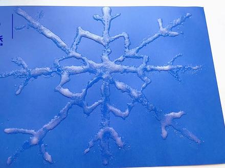 科学小实验之盐水画,美丽的小雪花 #科学 #科学实验 #亲子 #科学队长 #在家做实验