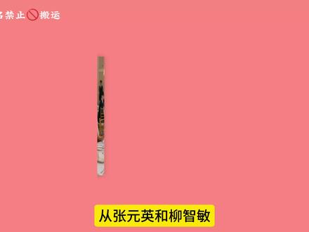 粉丝过度投喂ai 有可能会对爱豆产生影响#张元英 #柳智敏 #JYP #HYBE #kpop