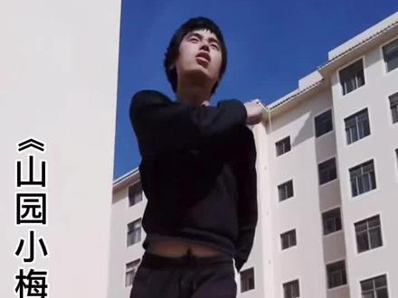 #知识创作人 #《山园小梅·其一》#林逋#诗词