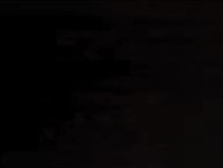白蚁的逸闻趣事之营养价值和药用价值篇#白蚁 酒的功效#白蚁知识科普