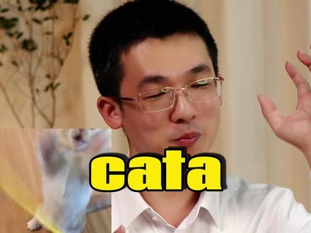 考研减速带-cata 利用猫咪cata的词头记住两个考研单词“catalyst”“catastrophe”
#考研英语 #四六级 #单词速记 #猫咪 #韩博哥英语