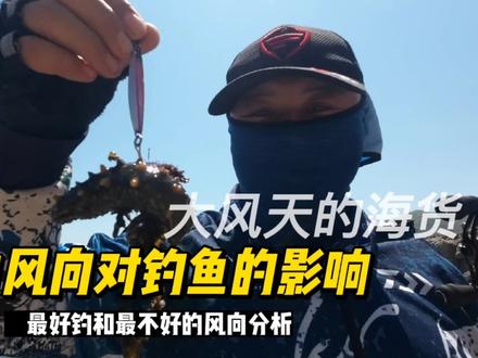 大风天去钓鱼,最好钓和不好钓的风向分析,风向对于钓鱼的影响 #海钓 #路亚海钓 #矶钓 #钓鱼人 #户外钓鱼