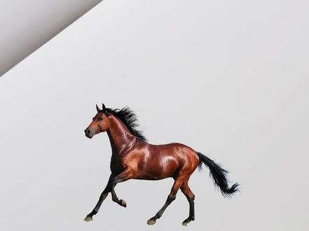 画马万能公式,引导方法孩子画小马,一看就会!#画马 #马年 #儿童美术 #创意绘画#零基础学画画