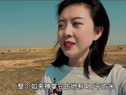 在二连浩特的大地上,有一只巨大的“如来神掌”,掌心纹路清晰可见,只有高空俯瞰才知道它的美与震撼。#二连浩特 #内蒙美好推荐官