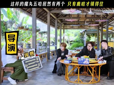 这段看一遍笑一遍#娱乐评论大赏 #五哈第六季 #鹿晗 #超赫鹿