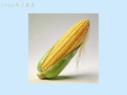 【实用英语】一穗玉米
1. an ear of corn
一穗玉米(整体)
2. a kernel of corn
一粒玉米(小块)
3. a head of broccoli
一颗西兰花(整体)
4. a floret of broccoli
一小朵西兰花(小块)
5. a tub of ice cream
一桶冰激凌(整体)
6. a scoop of ice cream
一勺冰激凌(小块)
7. a loaf of bread
一条面包(整体)
8. a slice of bread
一片面包(小块)
9. a bunch of celery
一颗芹菜(整体)
10. a stalk of celery
一根芹菜(小块)
#英语 #英语口语 #英语启蒙 #英语单词 #英语学习